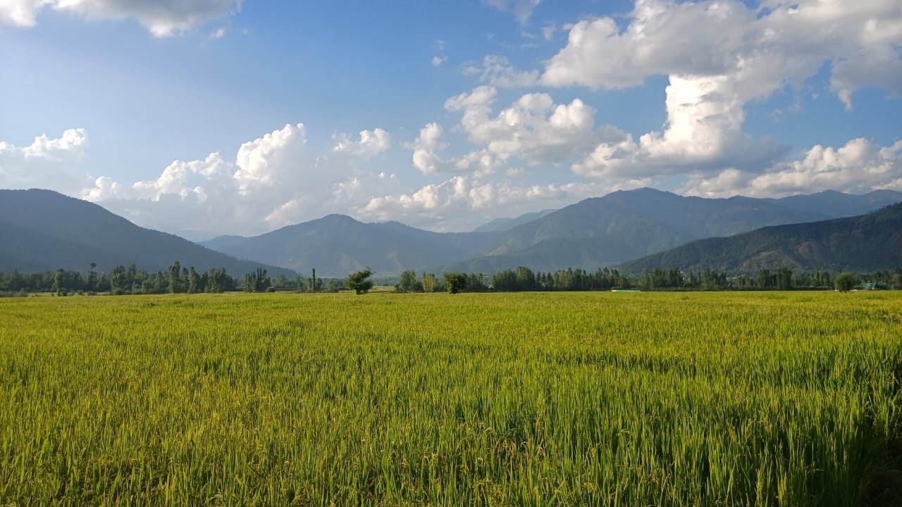 Kashmir Valley